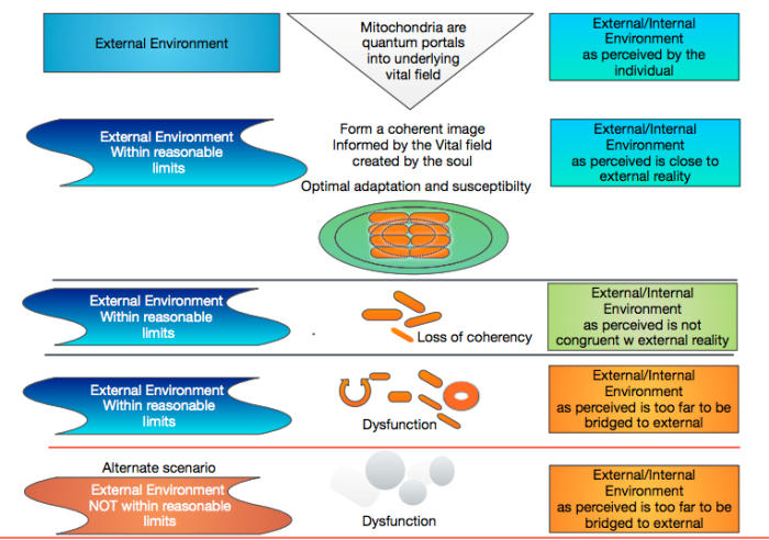 Mitohondrije kao bioenergetski portali - Anksioznost veza